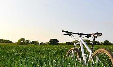 bicycle-1835844_960_720.jpg