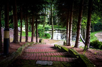 DSC_7775.jpg
