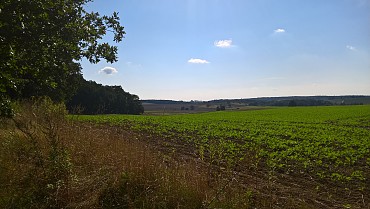 WP_20170918_11_16_19_Pro.jpg